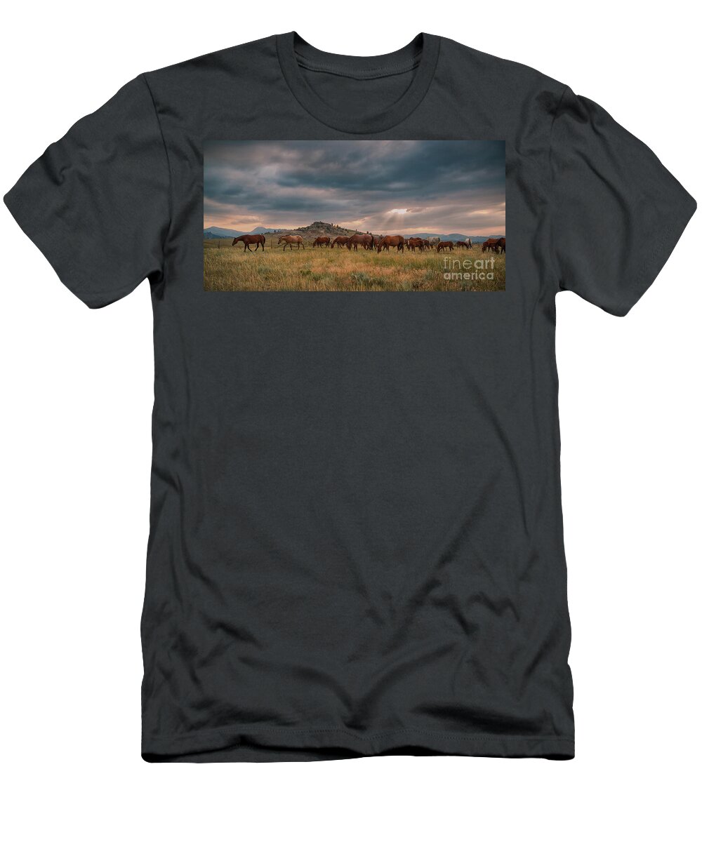 Landscape T-Shirt featuring the photograph Wyoming Evening by Terri Cage