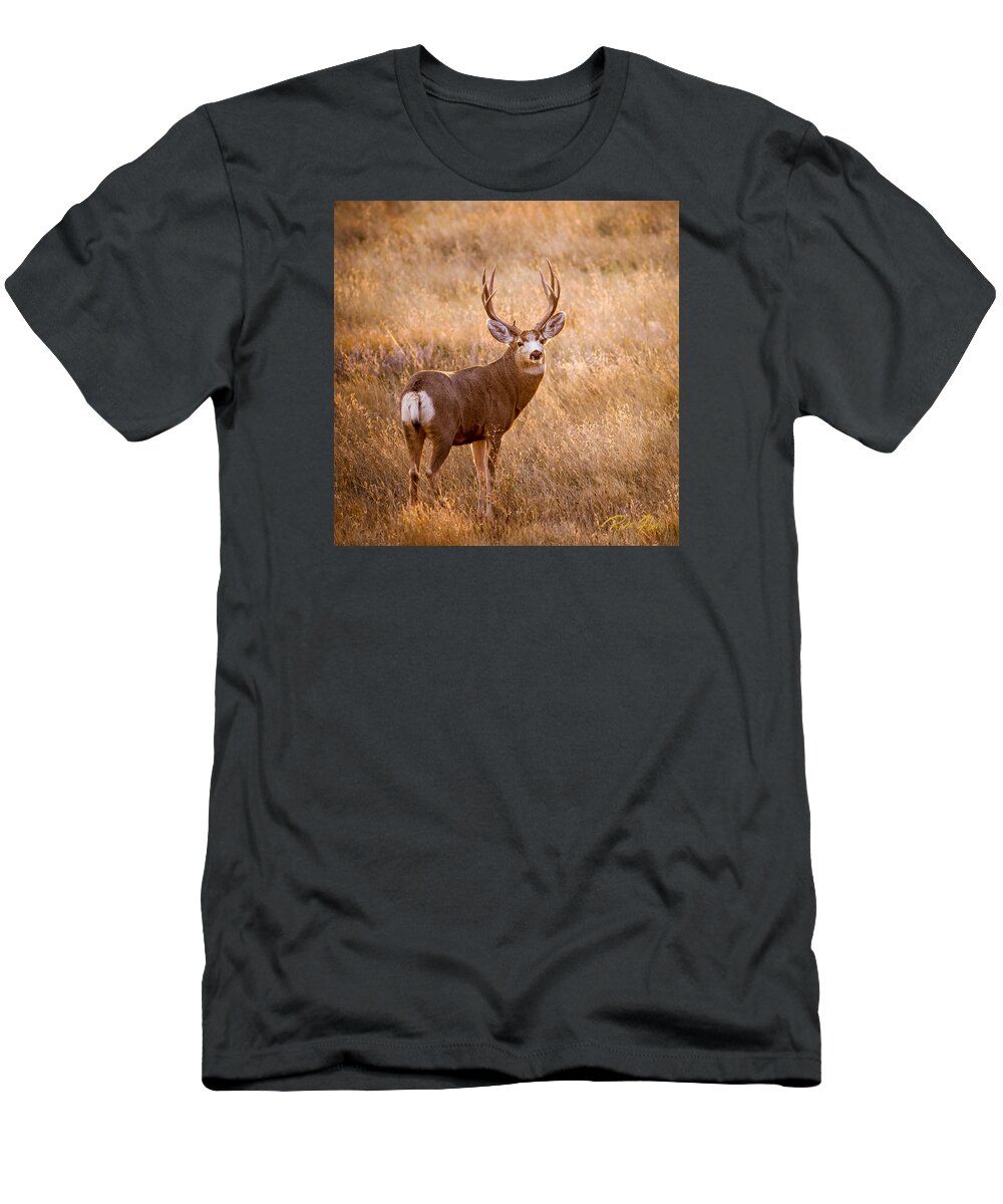 Animals T-Shirt featuring the photograph Wyoming Mulie by Rikk Flohr