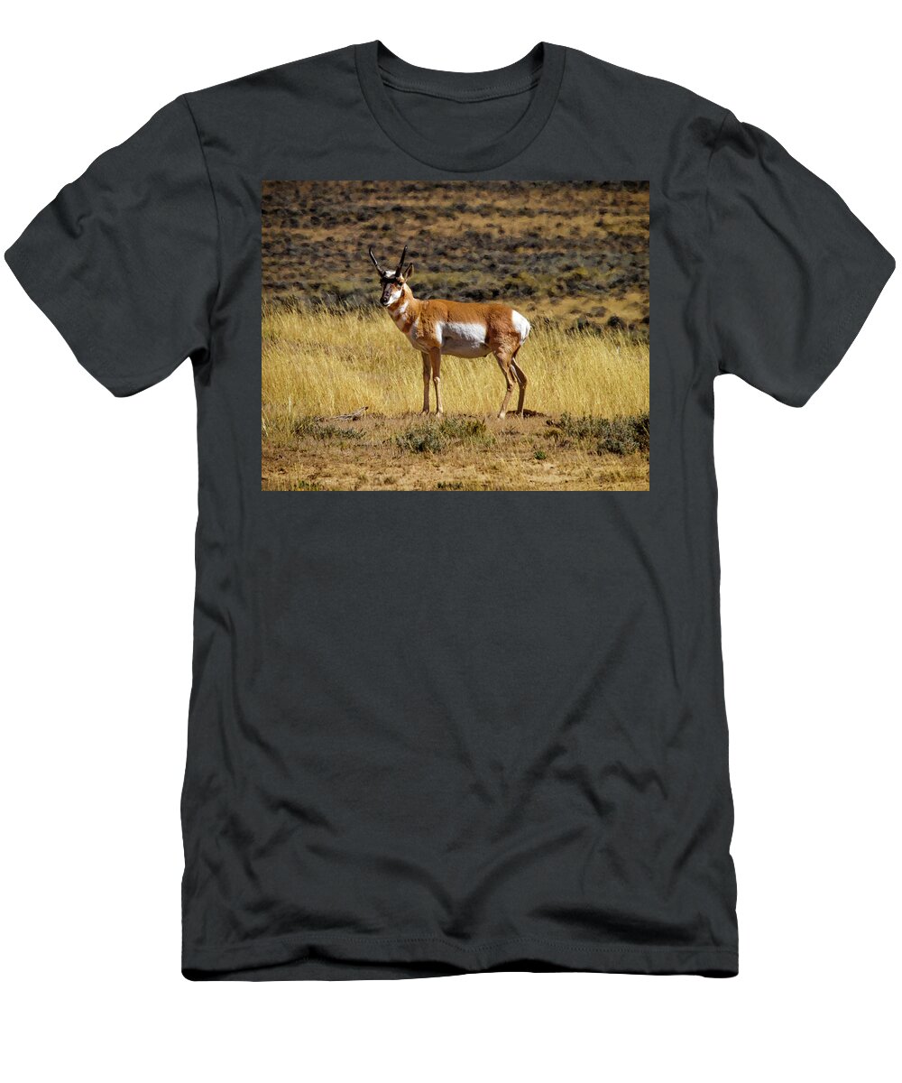 Wyoming T-Shirt featuring the photograph Wyoming Pronghorn Buck by Ronald Lutz
