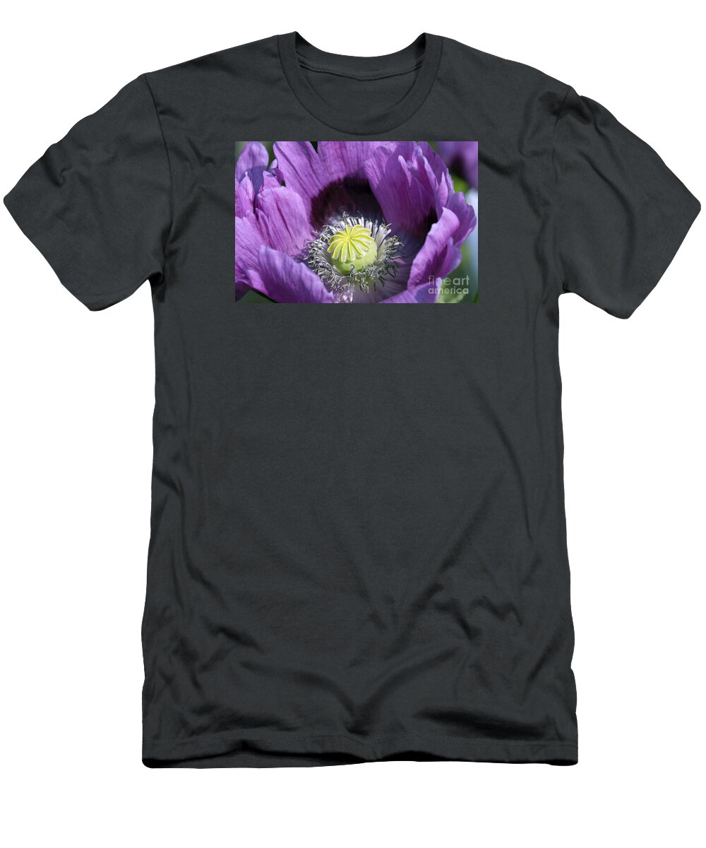 Delightfully Purple T-Shirt featuring the photograph Poppies 2 - Delightfully Purple by Wendy Wilton