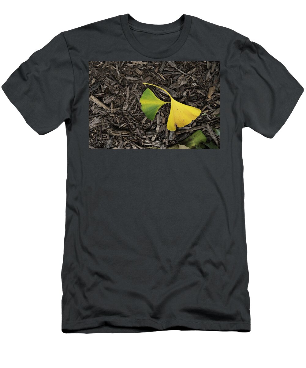 Ginkgo Leaves Divided T-Shirt featuring the photograph Yellow and Green Gingko by Sharon Popek