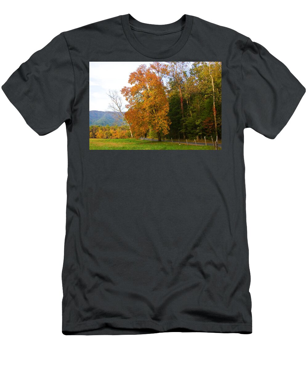 Fall T-Shirt featuring the photograph Yellow and Red Tree by Bob Decker