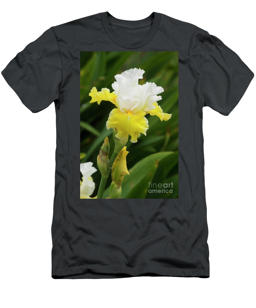 Yellow T-Shirt featuring the photograph Yellow and white iris by Jim And Emily Bush