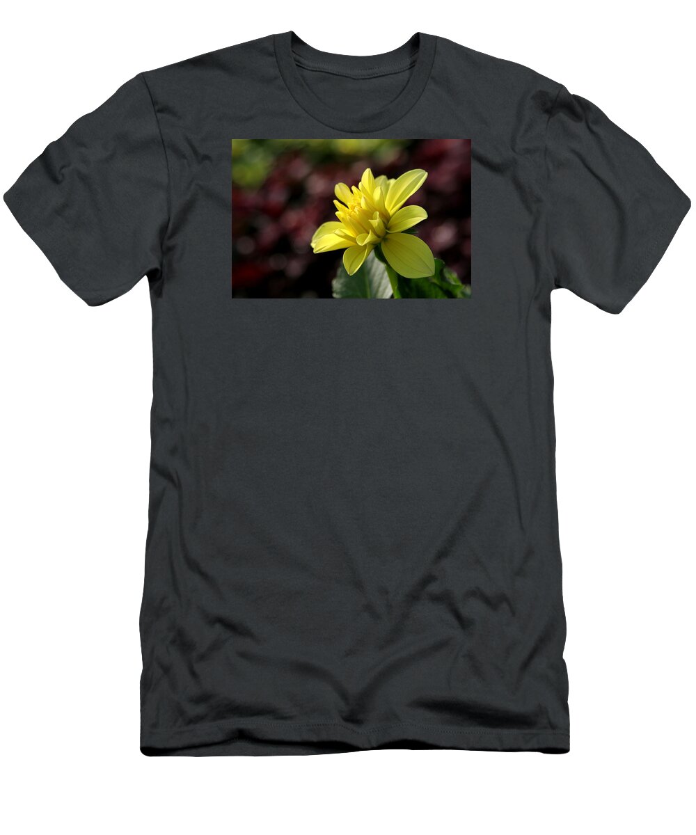 Flower T-Shirt featuring the photograph Yellow bloom by Robert Och
