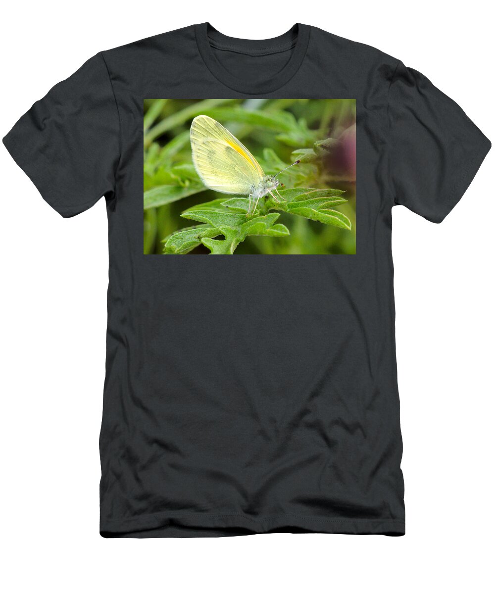 Yellow T-Shirt featuring the photograph Yellow butterfly by James Smullins