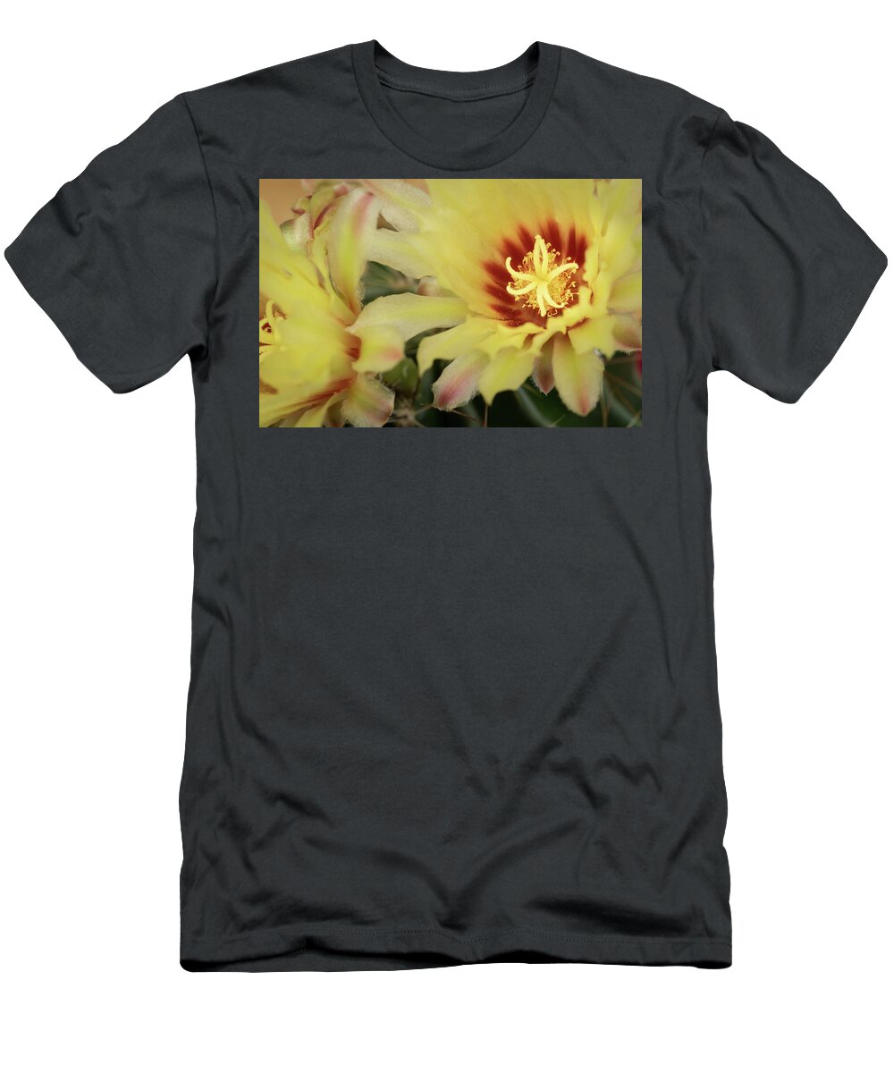 Blooming Flowers T-Shirt featuring the photograph Yellow cactus plant flower by Michalakis Ppalis