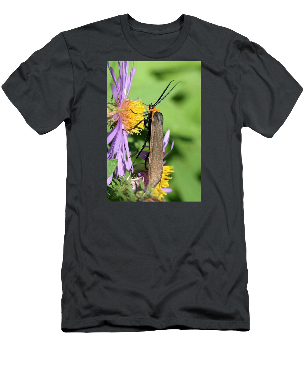 Yellow-collared Scape Moth T-Shirt featuring the photograph Yellow-collared Scape Moth by Doris Potter