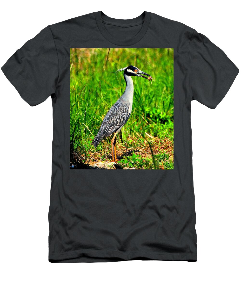 Yellow-crested Night Heron T-Shirt featuring the photograph Yellow Crested Night Heron Catches a Fiddler Crab by Barbara Bowen