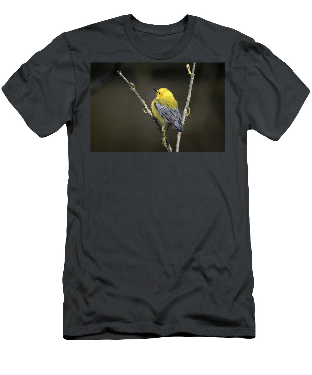 Canada T-Shirt featuring the photograph Yellow Hood and Blue Cape by Gary Hall