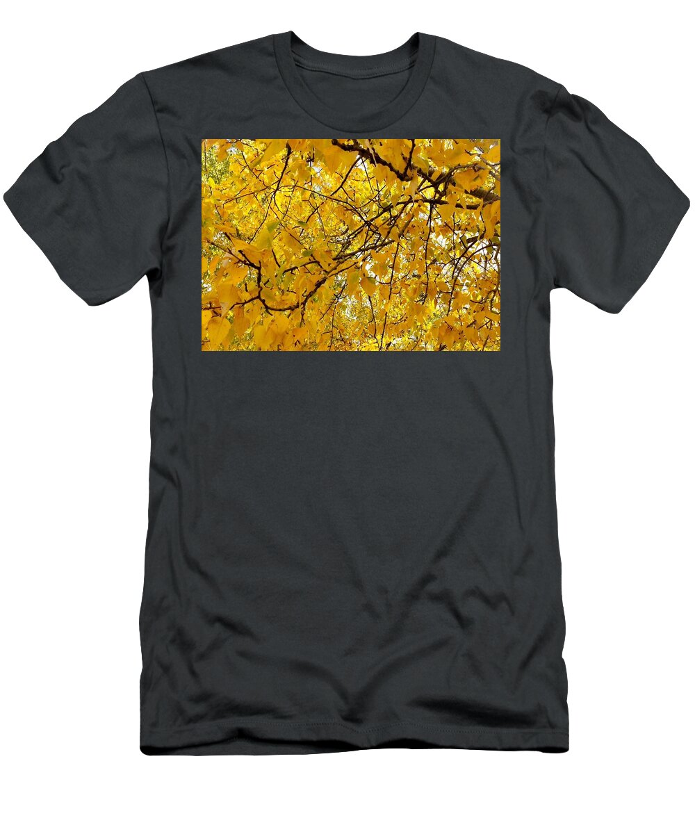 Poplar Trees T-Shirt featuring the photograph Yellow Leaf by Jennifer Lake