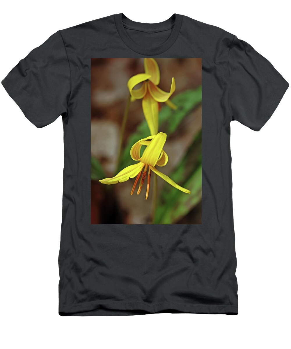 Lily T-Shirt featuring the photograph Yellow Lily Wildflower by Debbie Oppermann