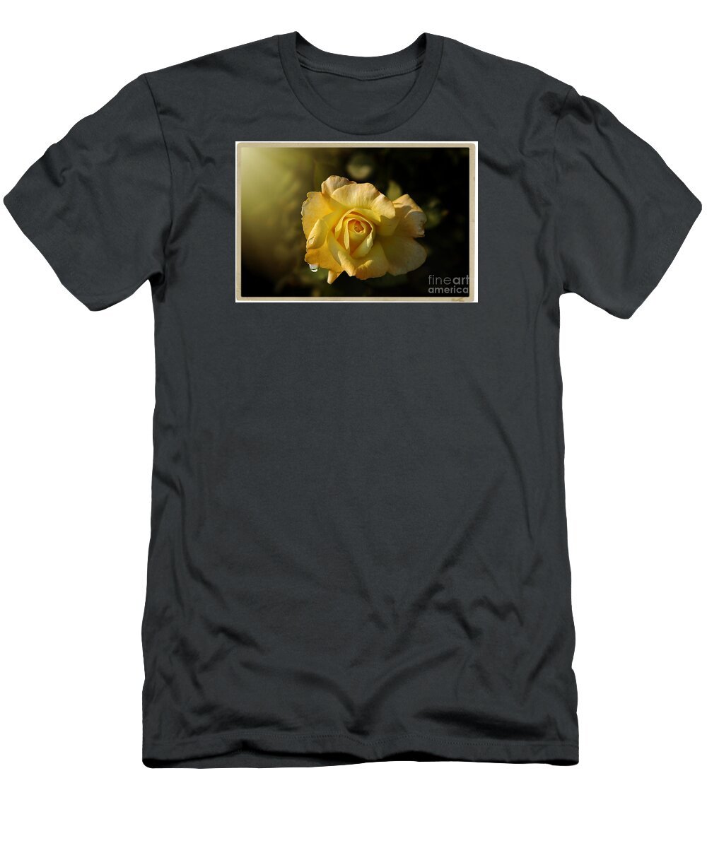 Rose T-Shirt featuring the photograph Yellow Rose in Bloom by Stefano Senise