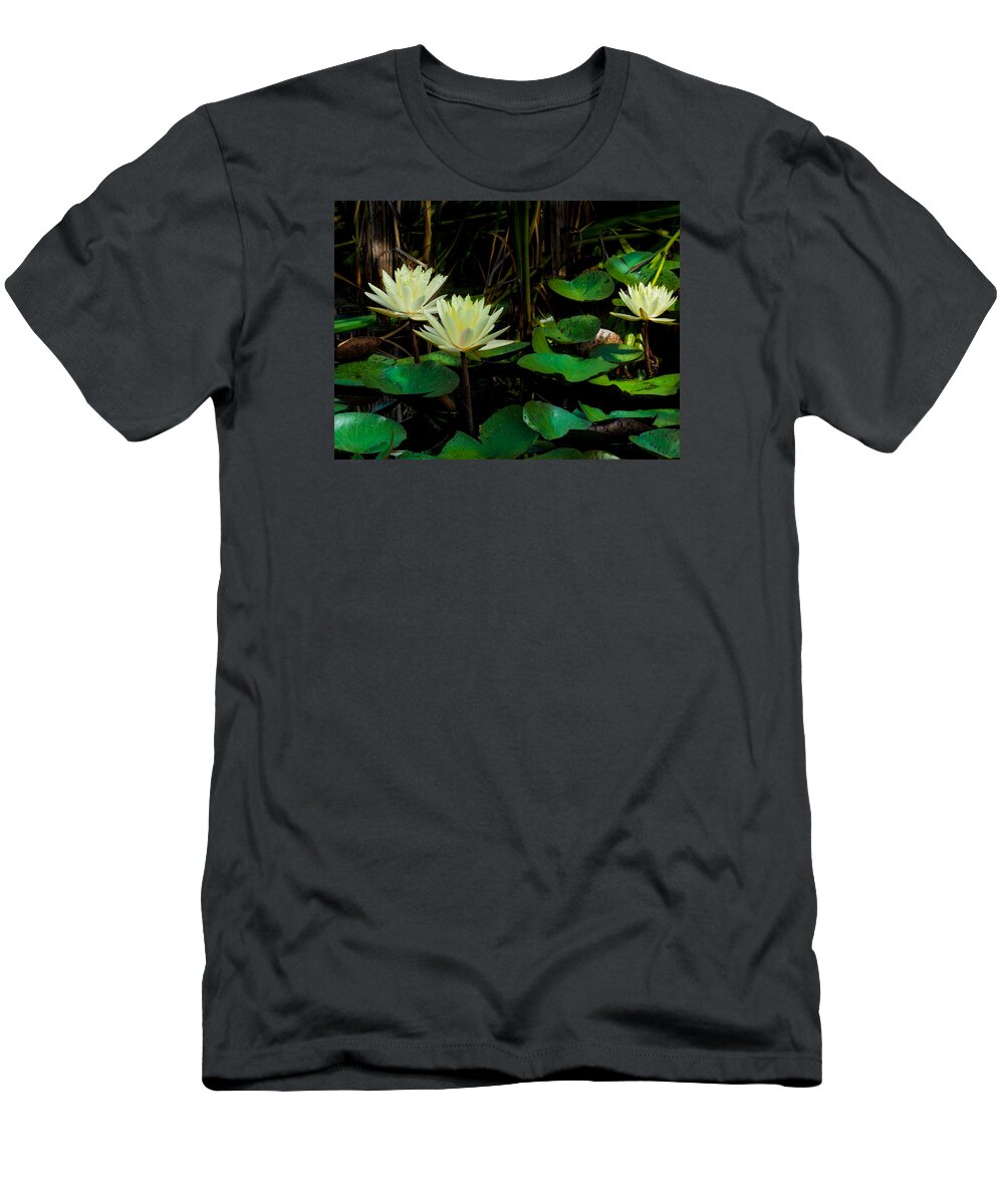 Yellow Lily T-Shirt featuring the photograph Yellow Water Lilies by Paula Ponath