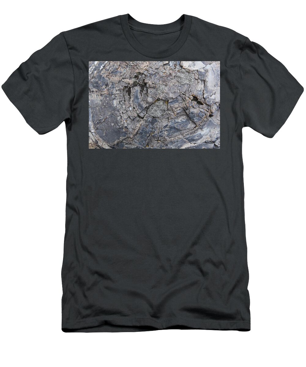 Texture T-Shirt featuring the photograph Yellowstone 3707 by Michael Fryd