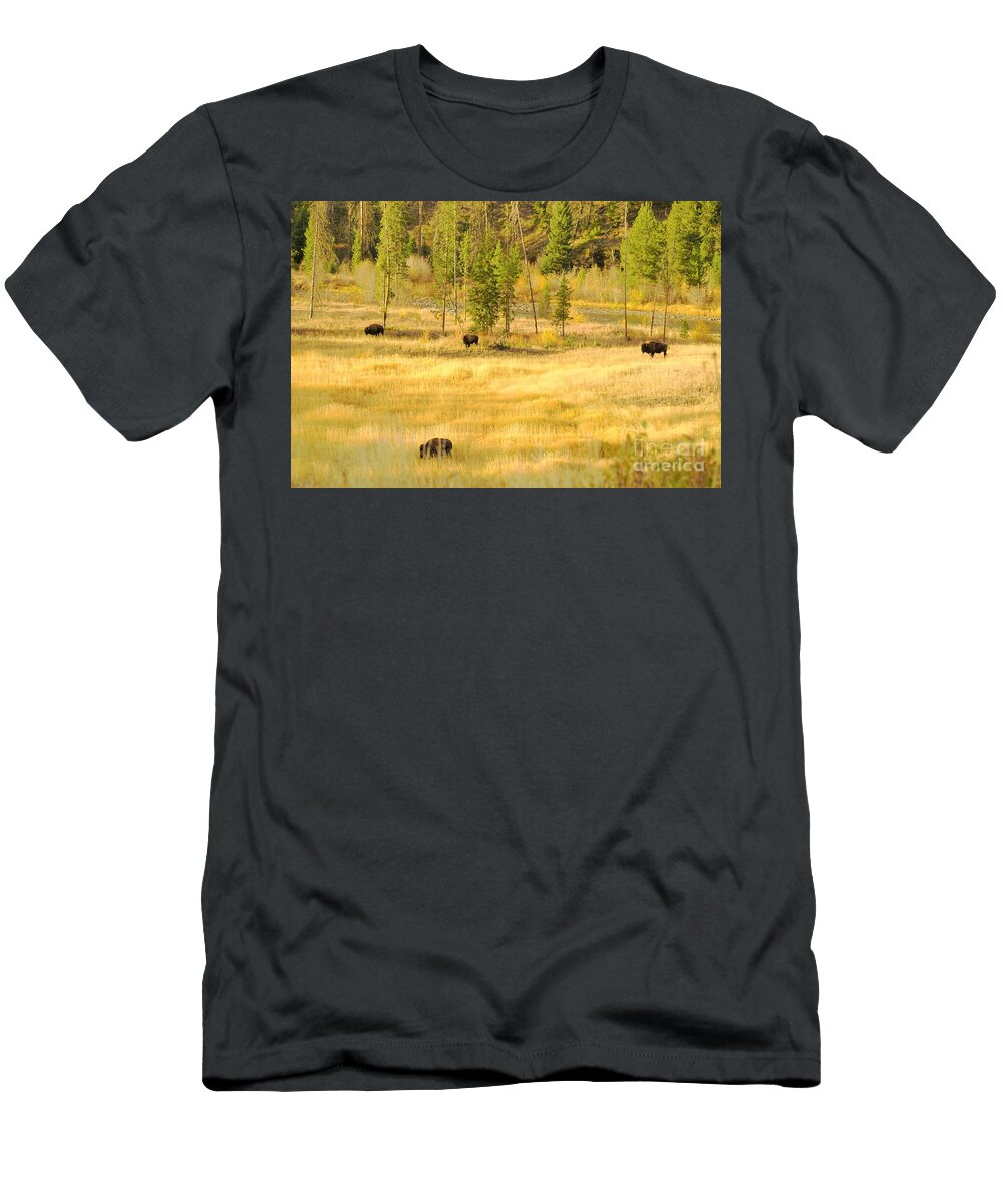 Yellowstone National Park T-Shirt featuring the photograph Yellowstone Bison by Merle Grenz