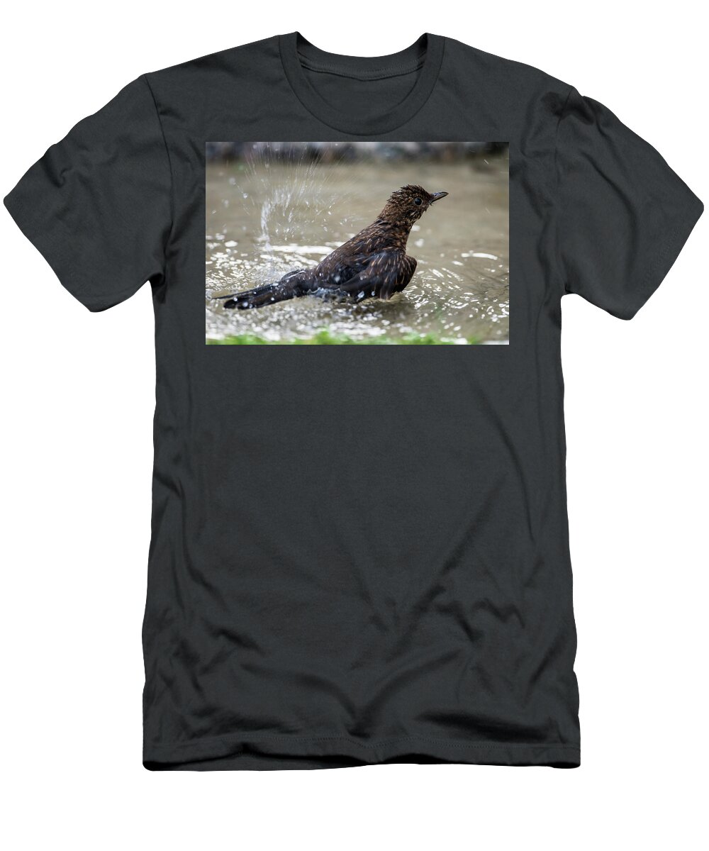 Young Blackbird's Bath T-Shirt featuring the photograph Young Blackbird's bath by Torbjorn Swenelius