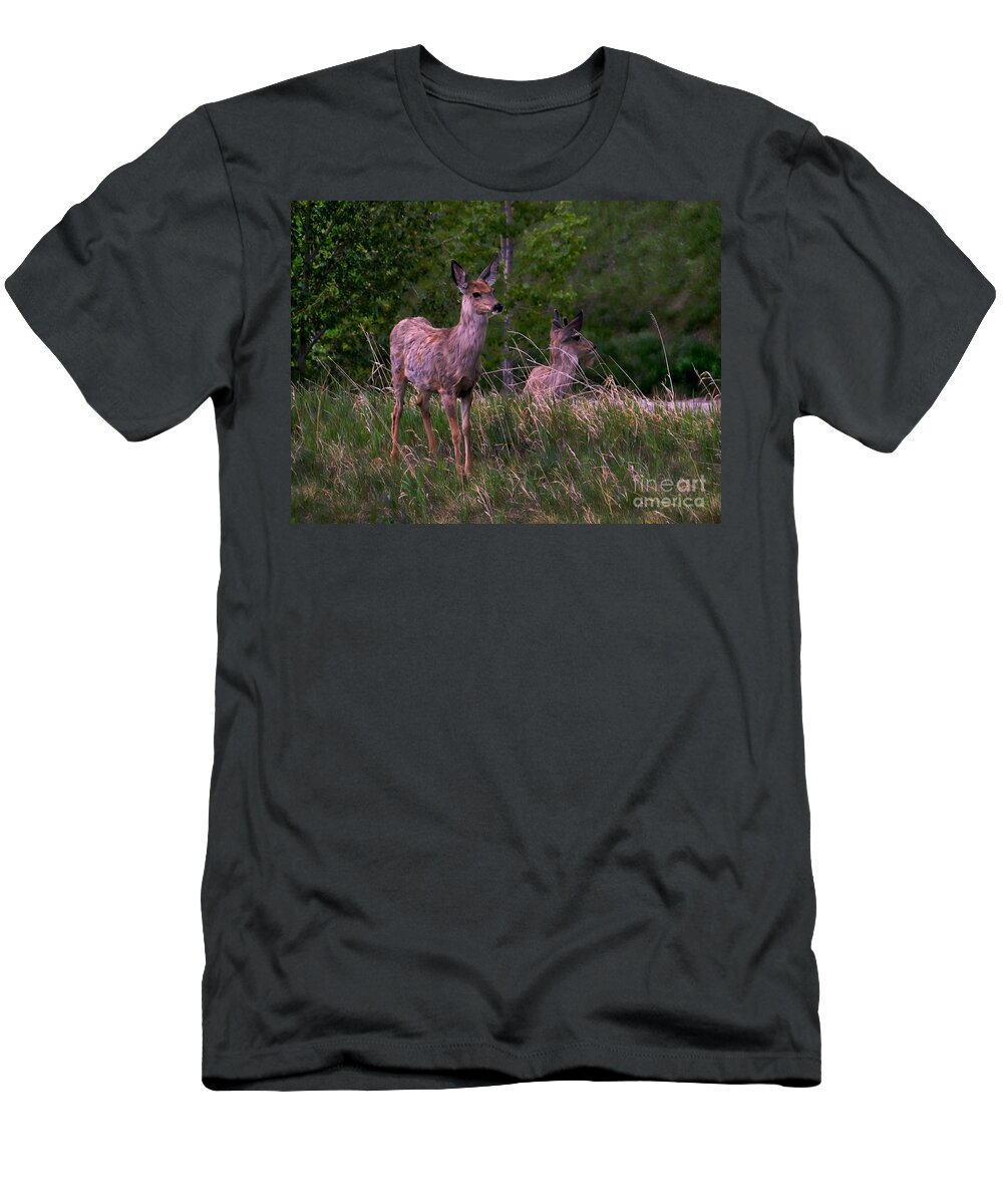 Young T-Shirt featuring the photograph Young Deer In The Spring by Al Bourassa