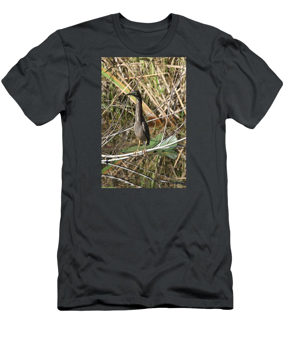 Green Heron T-Shirt featuring the photograph Young Green Heron by Christiane Schulze Art And Photography