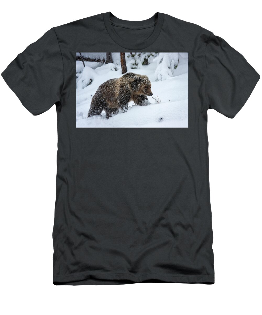 Mark Miller Photos T-Shirt featuring the photograph Young Grizzly in Blizzard by Mark Miller