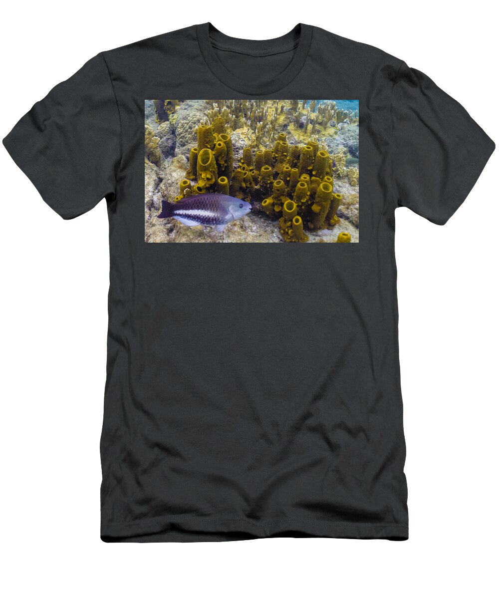 Ocean T-Shirt featuring the photograph Young Queen by Lynne Browne