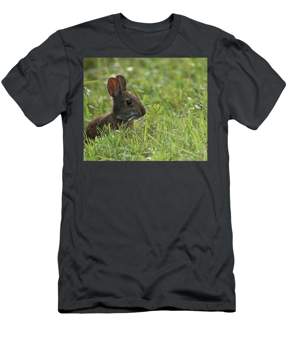 Rabbit T-Shirt featuring the photograph Young Rabbit Dining by Richard Goldman