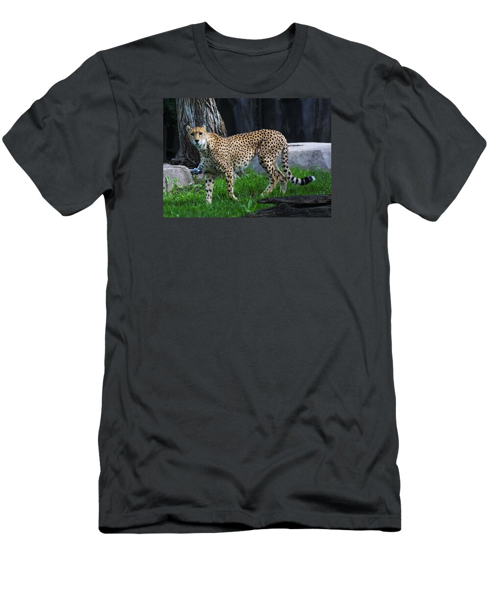 Zoo T-Shirt featuring the photograph z by Jean Wolfrum