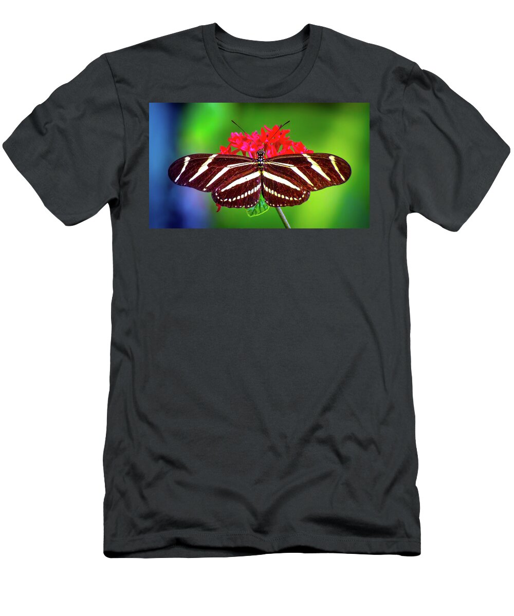 Zebra Longwing Butterfly T-Shirt featuring the photograph Zebra Stripes by Mark Andrew Thomas