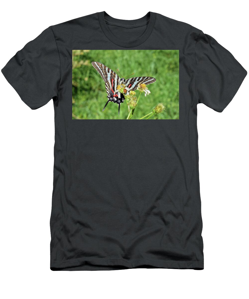 Photograph T-Shirt featuring the photograph Zebra Swallowtail and Ladybug by Larah McElroy