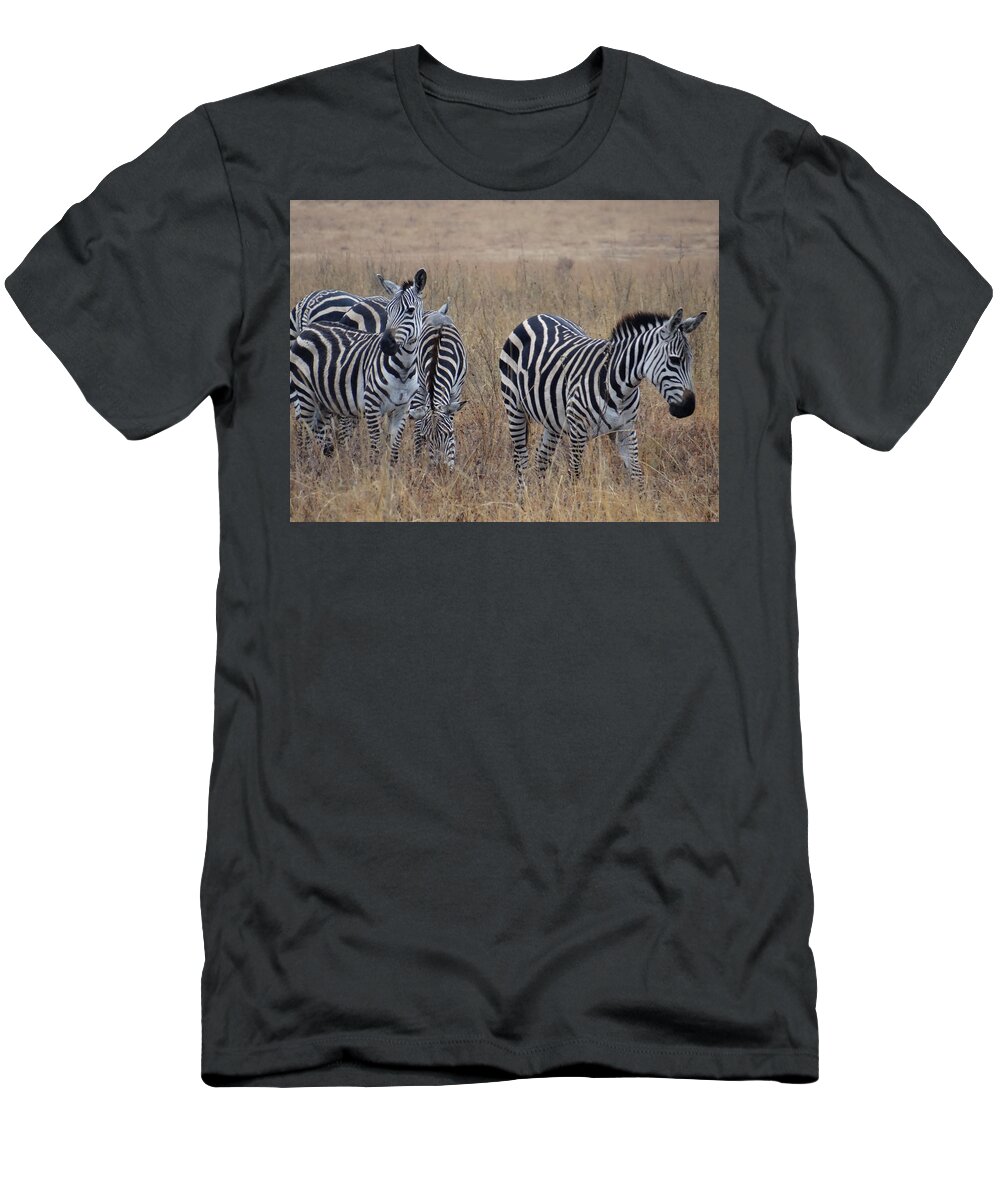 Exploramum T-Shirt featuring the photograph Zebras walking in the grass 1 by Exploramum Exploramum
