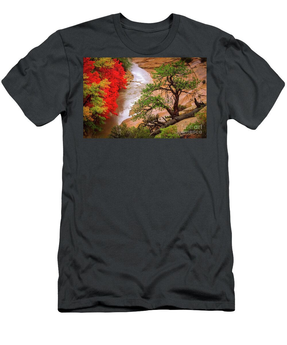 America T-Shirt featuring the photograph Zion After the Flood by Inge Johnsson