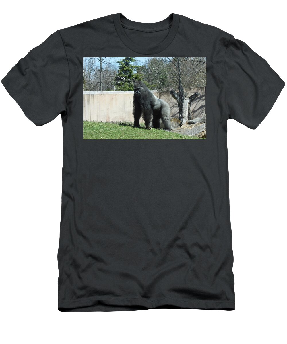 Zoo Animals T-Shirt featuring the photograph Zoo 104 by Joyce StJames