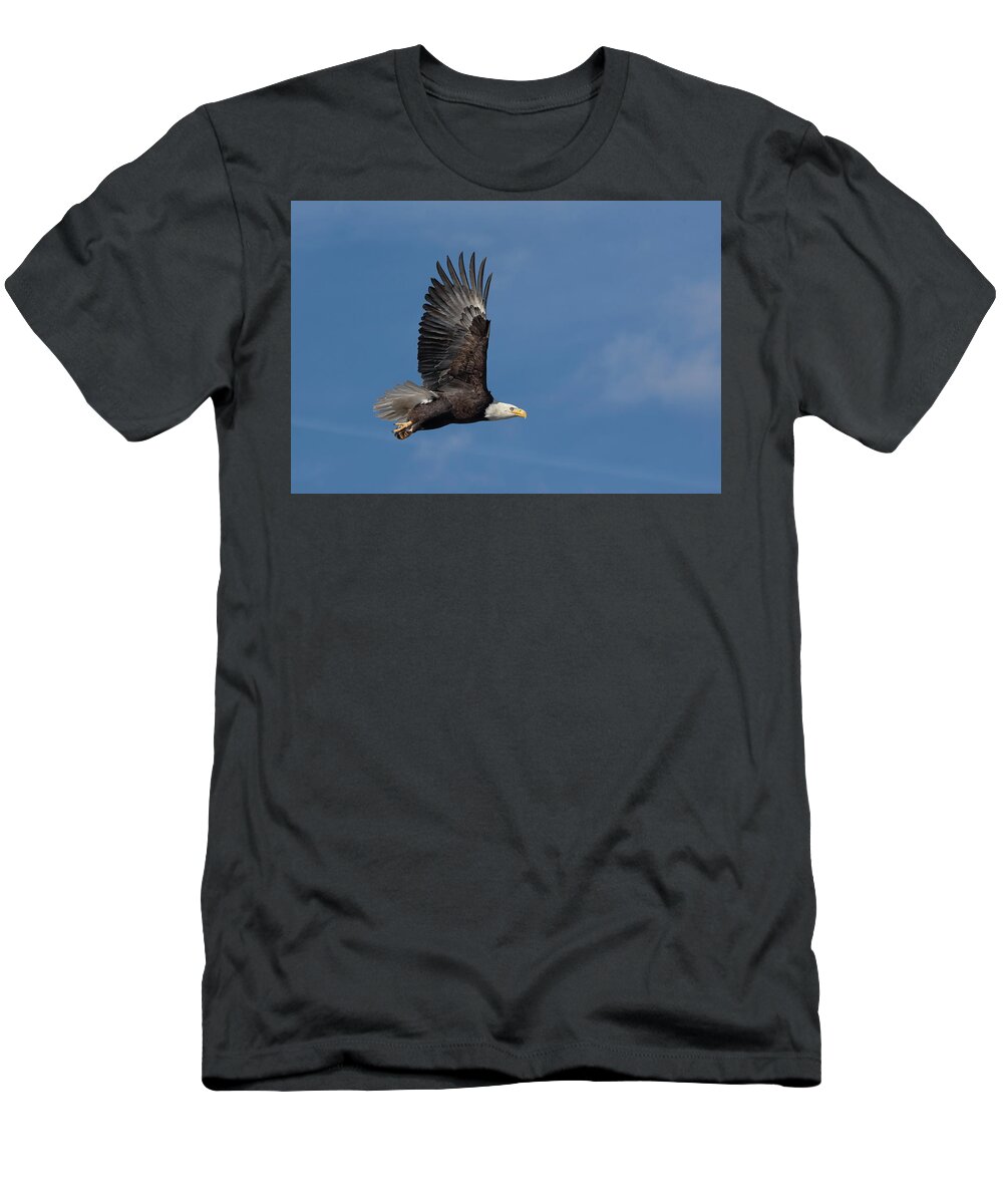 Raptor T-Shirt featuring the photograph American Bald Eagle in Flight #1 by Rick Mosher