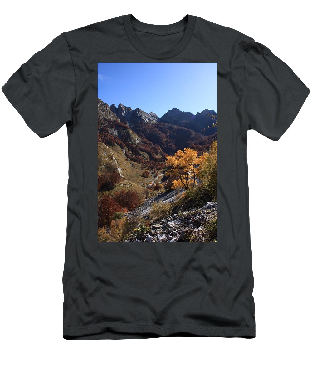 Autunno T-Shirt featuring the photograph Autunno #1 by Simone Lucchesi