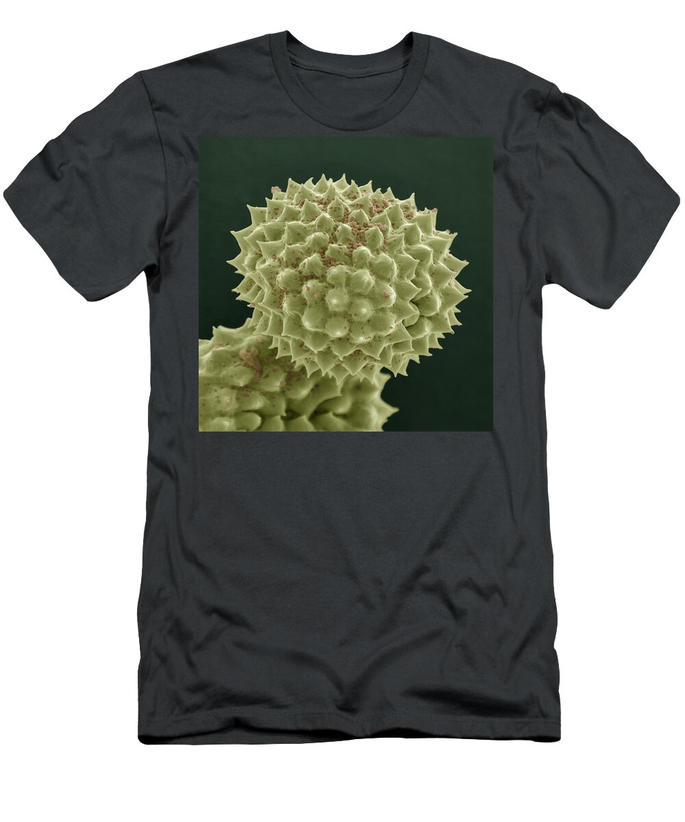 Allergen T-Shirt featuring the photograph Common Ragweed by Meckes/ottawa