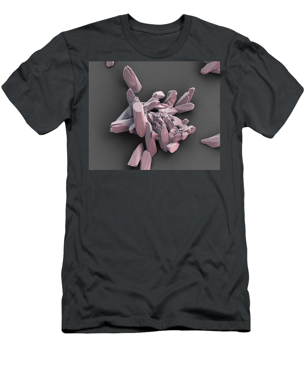 Alcohol T-Shirt featuring the photograph Crystals Of Raspberry Liquer, Sem #1 by Meckes/ottawa