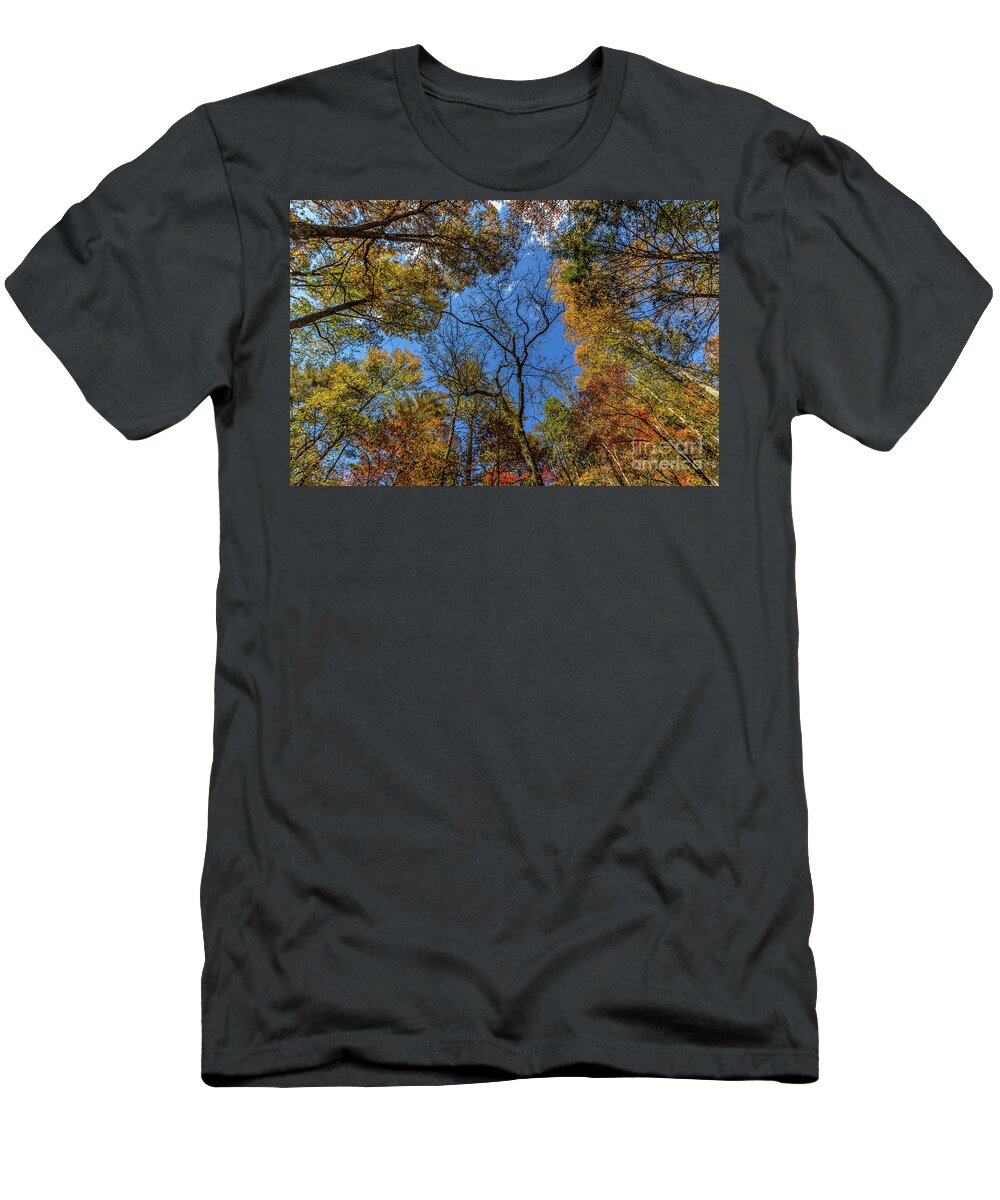 Smithgall-woods T-Shirt featuring the photograph Dreaming in Smithgall Woods #2 by Bernd Laeschke