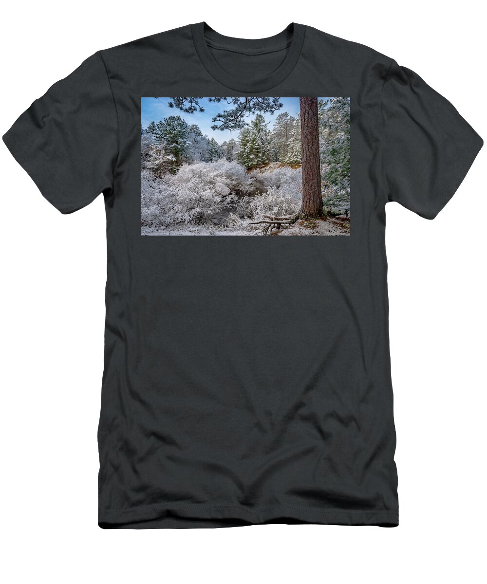 Grand Marais Mi T-Shirt featuring the photograph First Snow #1 by Gary McCormick