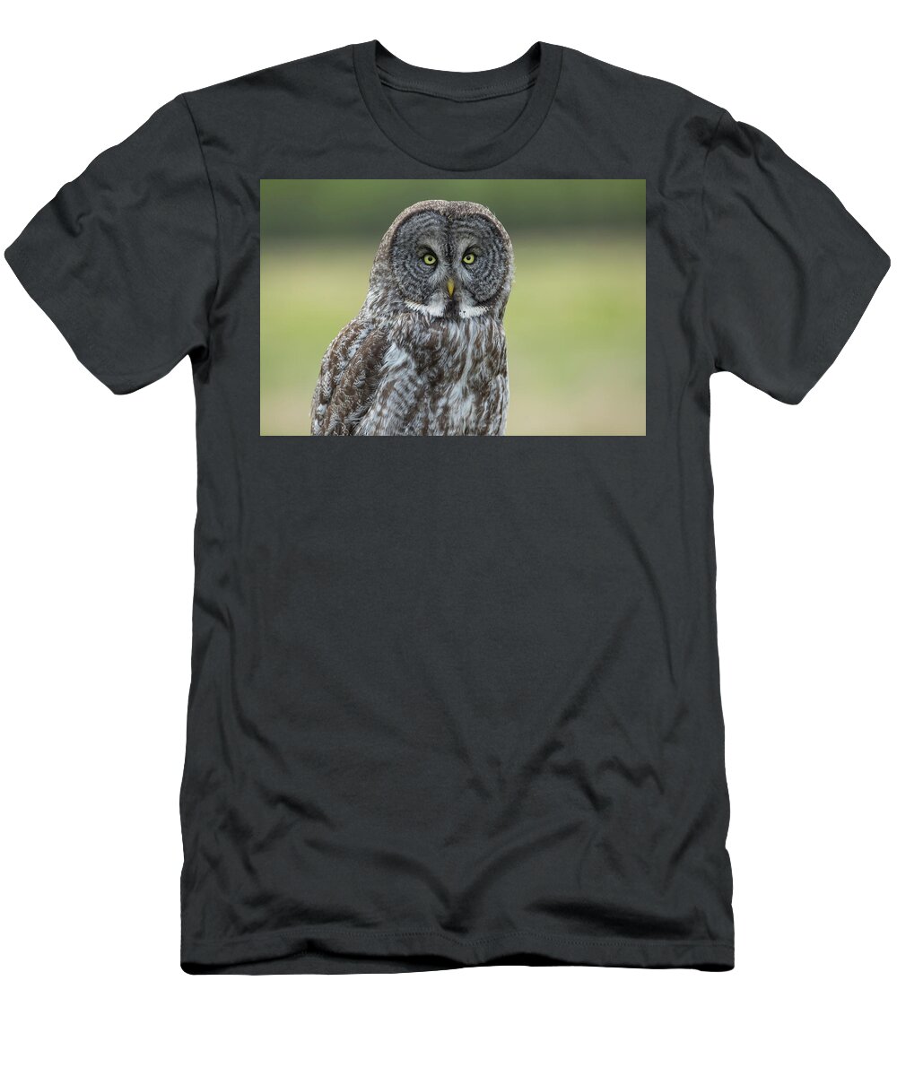 Great Grey Owl T-Shirt featuring the photograph Great Grey Owl #1 by Sam Amato