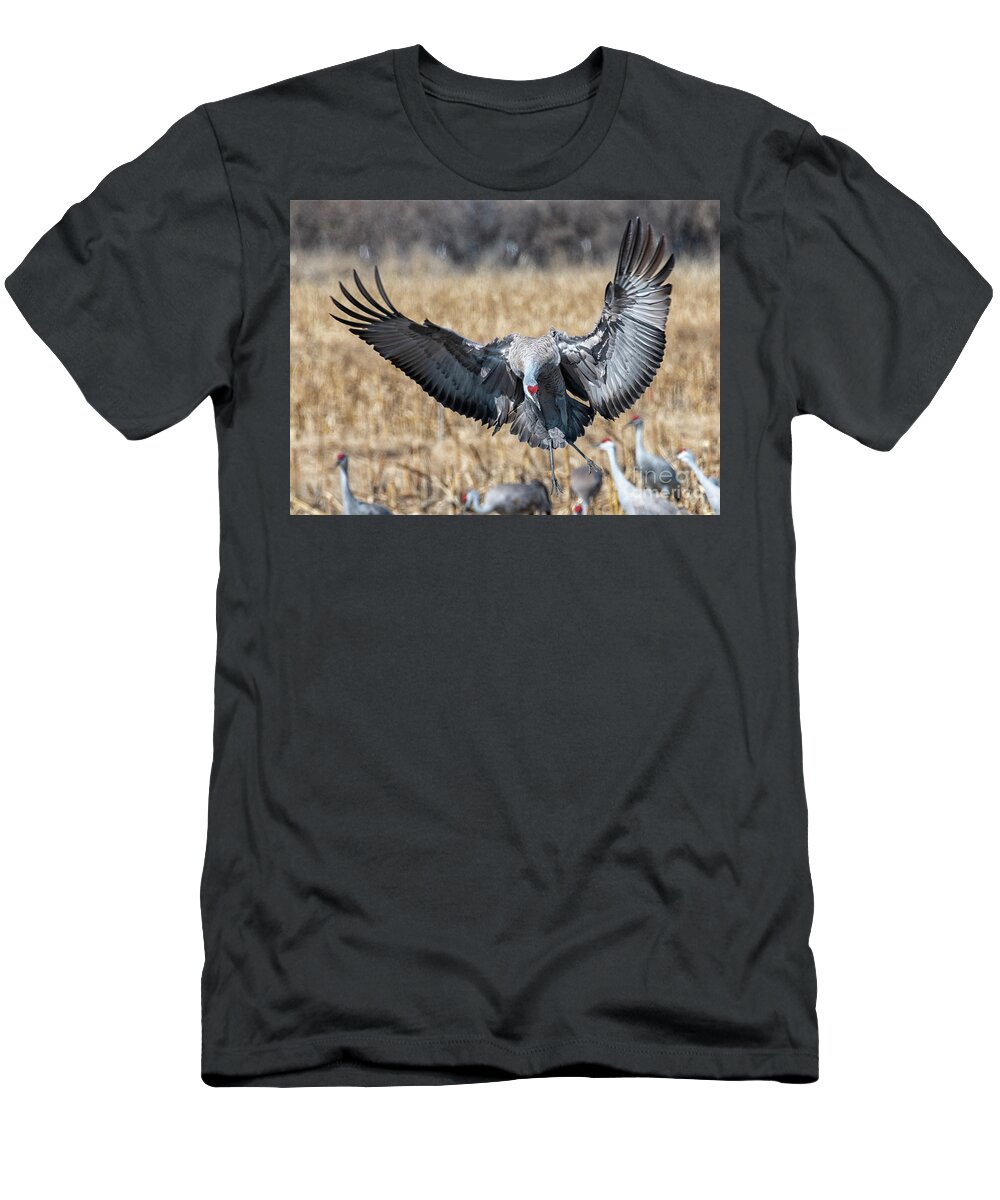 Sandhill Crane T-Shirt featuring the photograph Incoming #1 by Michael Dawson
