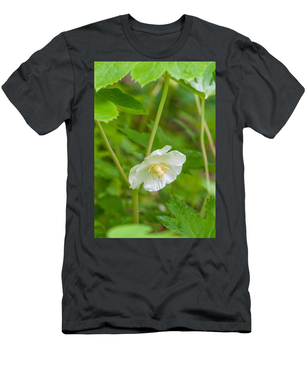 American Flora T-Shirt featuring the photograph Mayapple Flower #1 by Michael Lustbader