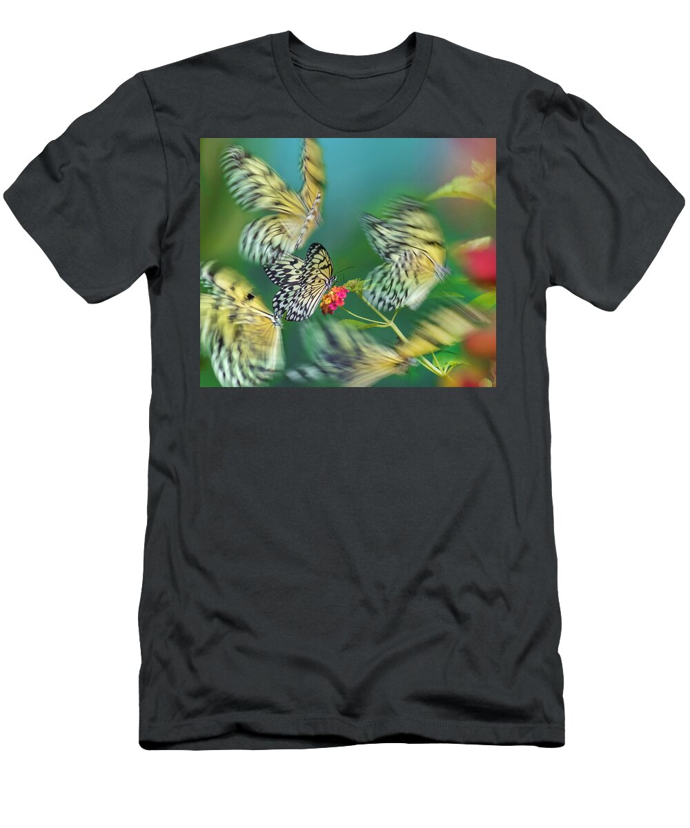 00581354 T-Shirt featuring the photograph Paper Kite Butterflies Flying, Philippines #1 by Tim Fitzharris