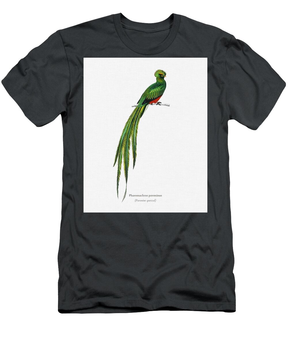 Birdwatching T-Shirt featuring the painting Pavonine quetzal Pharomachrus pavoninus illustrated by Charles Dessalines D Orbigny 1806 1876 3 #1 by Celestial Images