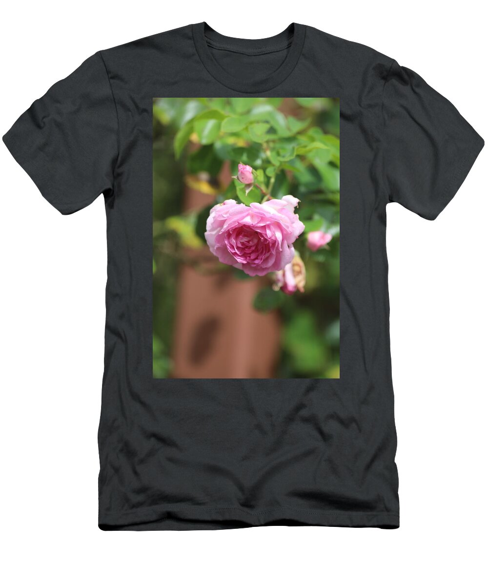 Pink Rose Fragile Bud State College Pennsylvania Beautiful Flower T-Shirt featuring the photograph Pink Rose #1 by Scott Burd