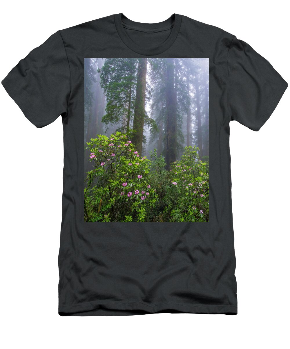 00571630 T-Shirt featuring the photograph Rhododendron And Coast Redwoods In Fog, Redwood National Park, California #1 by Tim Fitzharris