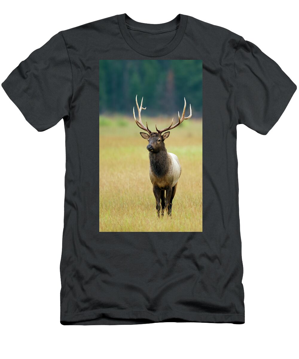 Bull T-Shirt featuring the photograph Rocky Mountain Bull Elk 6x6 #1 by Gary Langley