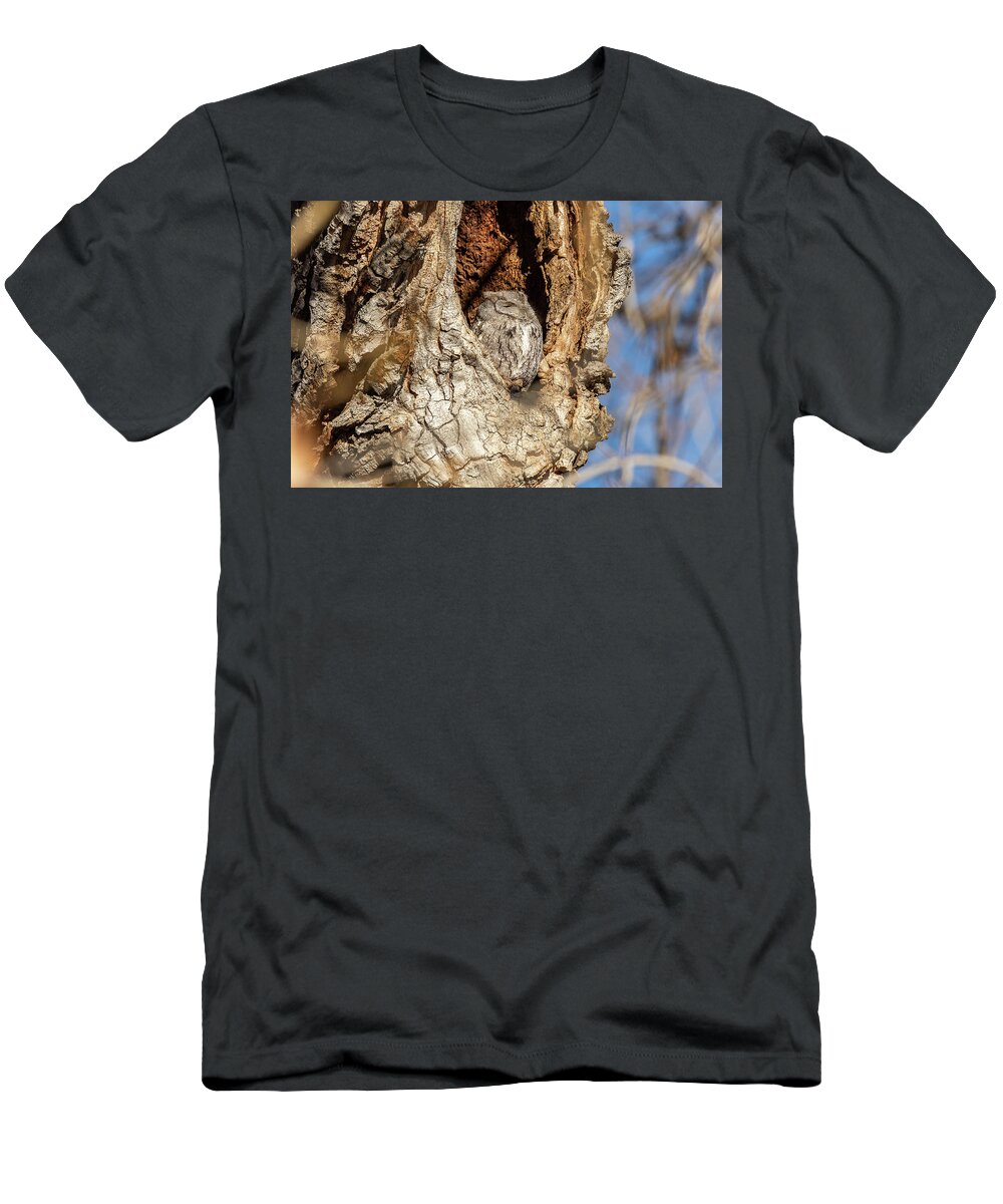 Owl T-Shirt featuring the photograph Screech Owl Soaks in the Sun #1 by Tony Hake