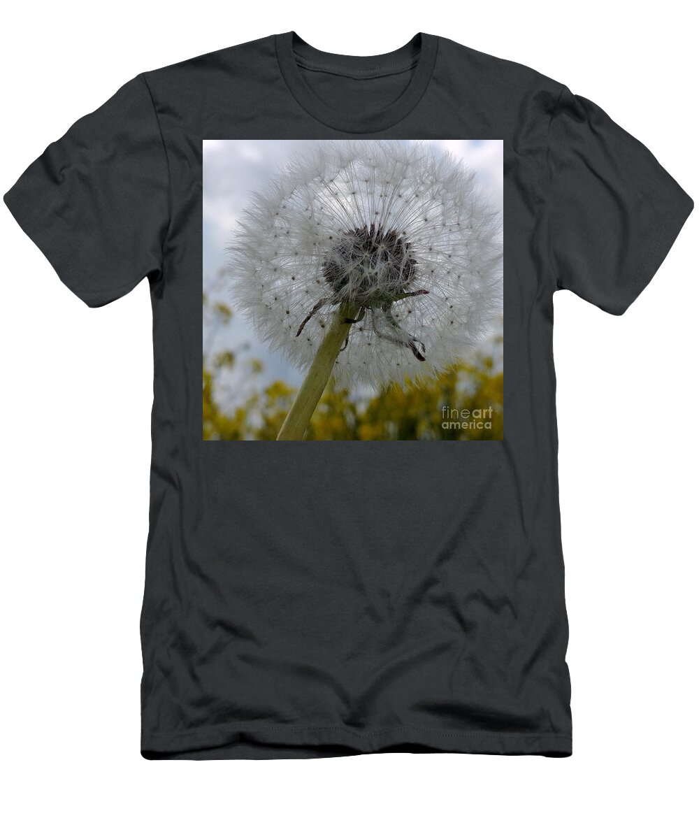 Flower T-Shirt featuring the photograph Serenity #1 by Karin Ravasio