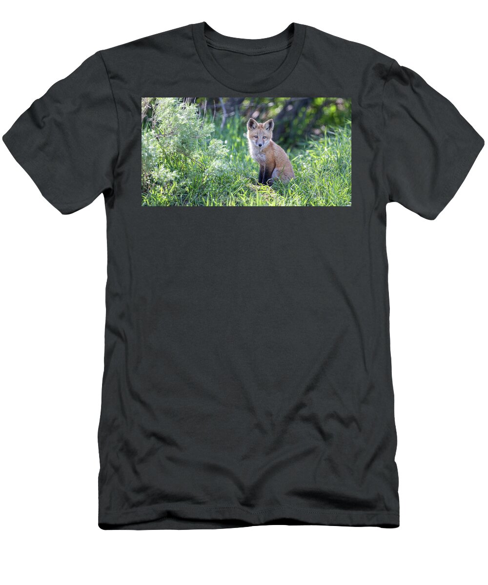 Fox T-Shirt featuring the photograph Soul Center #1 by Kevin Dietrich