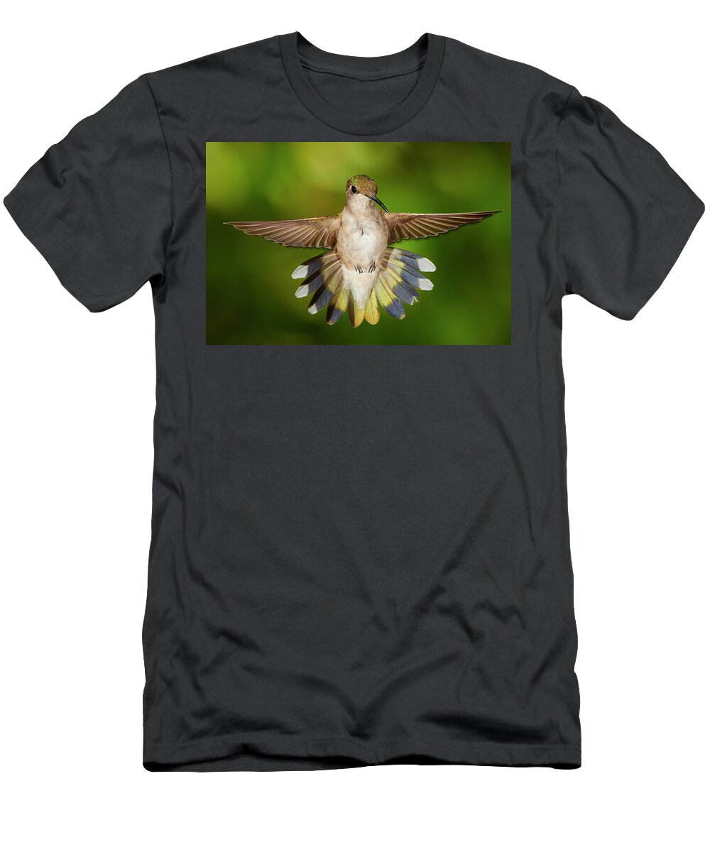 Feathers T-Shirt featuring the photograph Tail Feathers #1 by Paul Freidlund