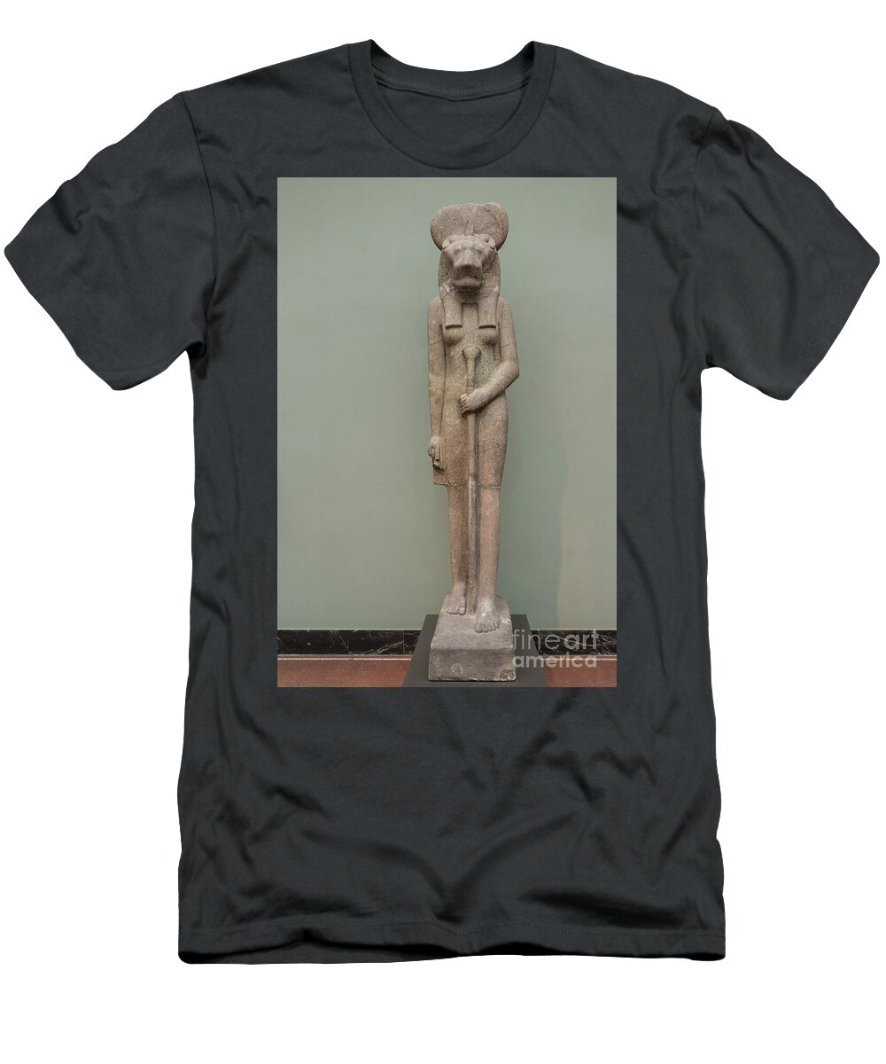 Art T-Shirt featuring the photograph The Lion Goddess Sekhmet. by Patricia Hofmeester